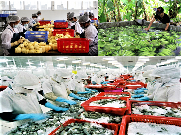 Xuất nhập khẩu năm 2025 tăng trưởng mạnh, xuất siêu hơn 20 tỷ USD