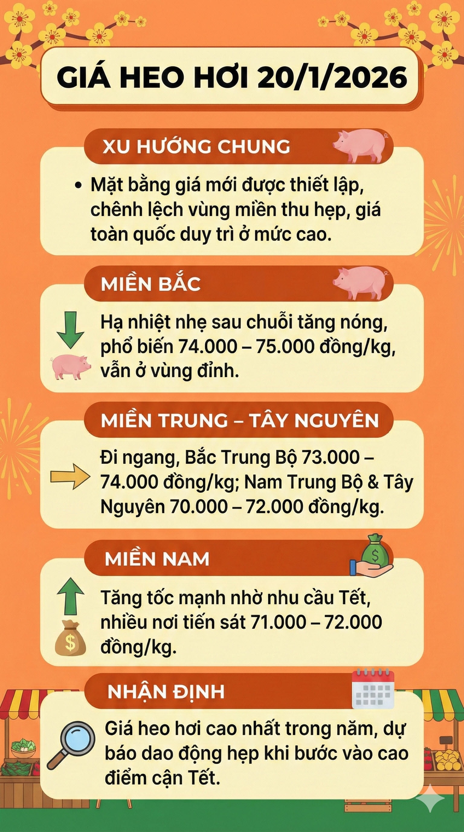 gia heo hoi 20-1-2026