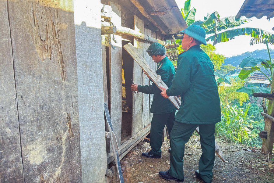 Bộ đội Biên phòng giúp dân gia cố chuồng trại. chong-ret-trau-bo-3.jpg