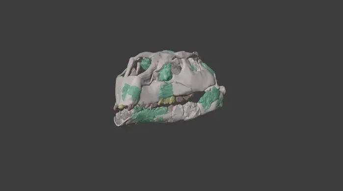 Phục dựng hộp sọ. phat-hien-khung-long-lap-khoang-trong-tien-hoa-70-trieu-nam-2.jpg