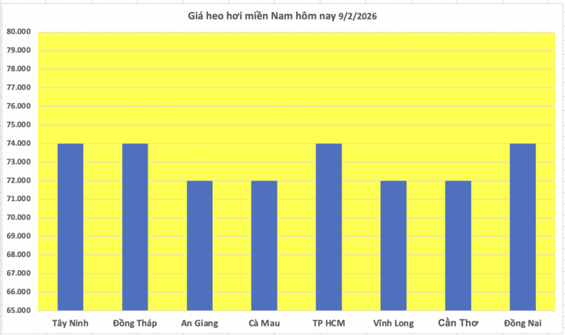Giá heo hơi hôm nay 9/2/2026: Tiếp tục giảm nhiều nơi - 3