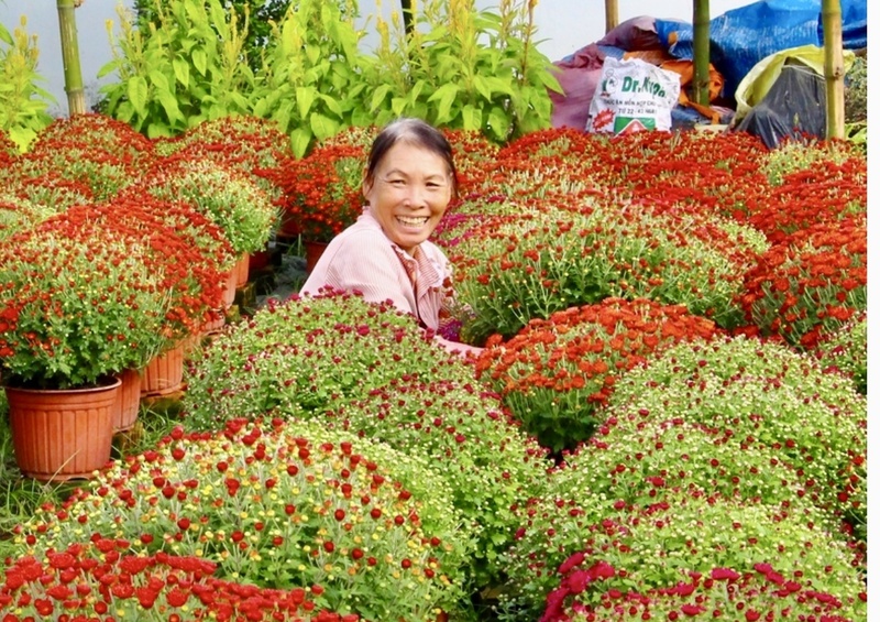 Các loại cây kiểng có mức giá trung bình, phù hợp khả năng chi tiêu của đa số người dân