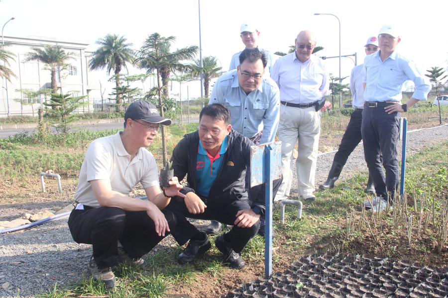 Lãnh đạo Công ty FHS kiểm tra vườn ươm giống. 1.jpg