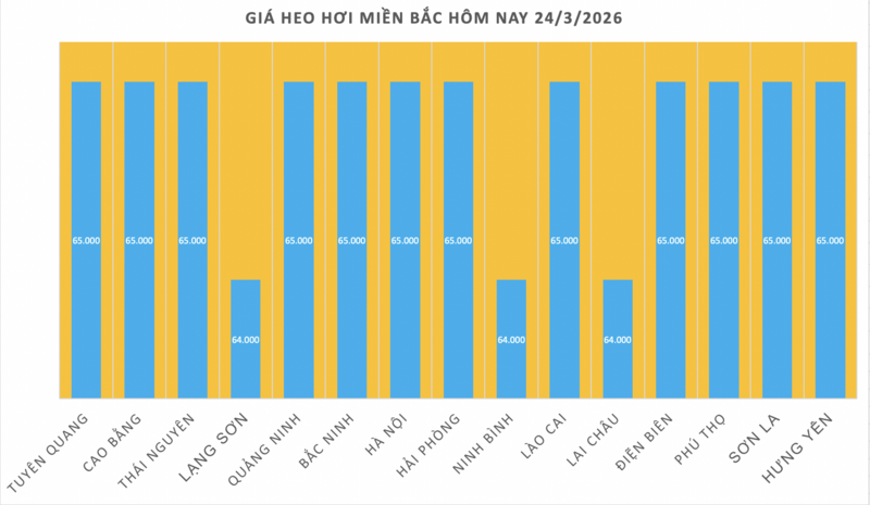 Giá heo hơi hôm nay 24/3/2026: Giảm diện rộng tại miền Bắc - 1