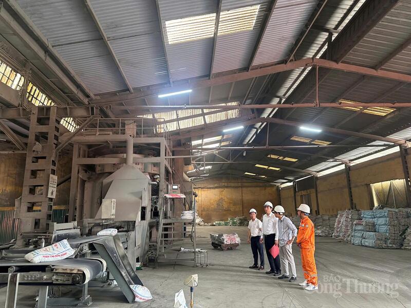 Công ty Điện lực Ninh Bình tư vấn sử dụng điện an toàn, hiệu quả tại Công ty cổ phần Phân lân Ninh Bình.