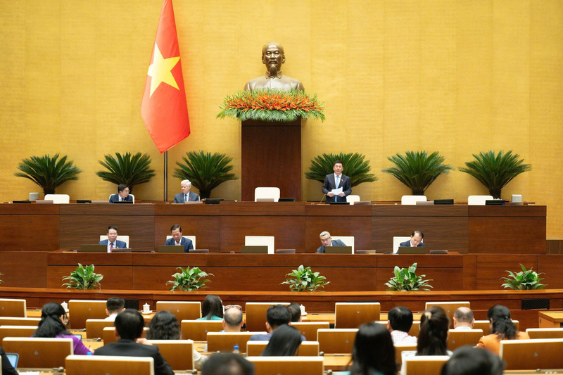 Phó Chủ tịch Quốc hội Nguyễn Hồng Diên phát biểu