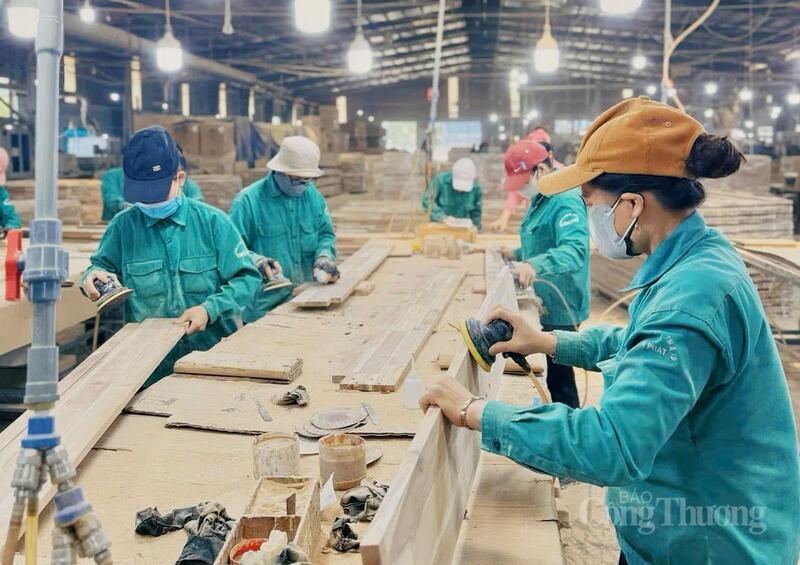 Nhiều doanh nghiệp đã chủ động điều chỉnh chiến lược, từ đa dạng hóa thị trường đến tái định vị sản phẩm.