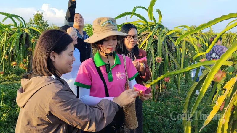 Nhiều doanh nghiệp cũng đối mặt khó khăn như chi phí logistics và giá vật tư nông nghiệp tăng, thiếu kho lạnh bảo quản, cạnh tranh từ các nước trong khu vực, tình trạng lao động thời vụ và hạ tầng giao thông xuống cấp. Ảnh: Lê Sơn