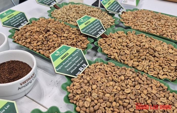 Giá cà phê hôm nay 28 - 4 giảm Đồng loạt , cà phê đặc sản có bước tiến mới - Ảnh 2.