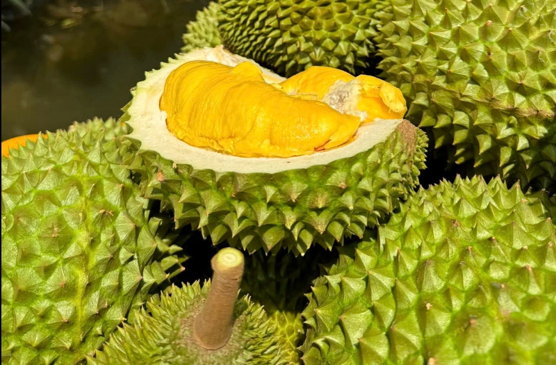 Trung Quốc là một trong những thị trường xuất khẩu rất quan trọng cho nông sản, thực phẩm của Việt Nam. Ảnh minh họa