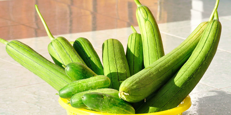 Giá mướp hương bán phổ biến dao động từ 14.000 - 17.000 đồng/kg. Ảnh minh họa