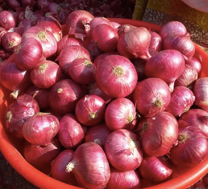 Hành tím tại ruộng hiện được thương lái thu mua với giá 35.000 - 40.000 đồng/kg. Ảnh minh hoạ