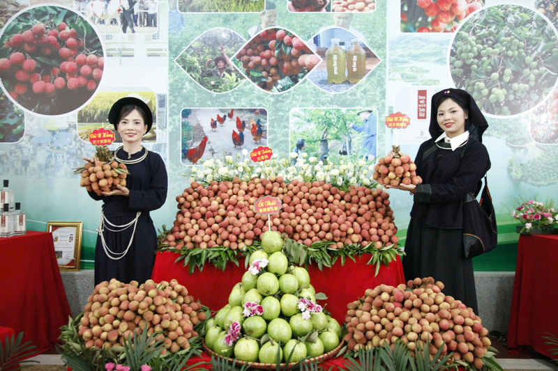 Gian hàng quảng bá vải của các địa phương tại hội nghị