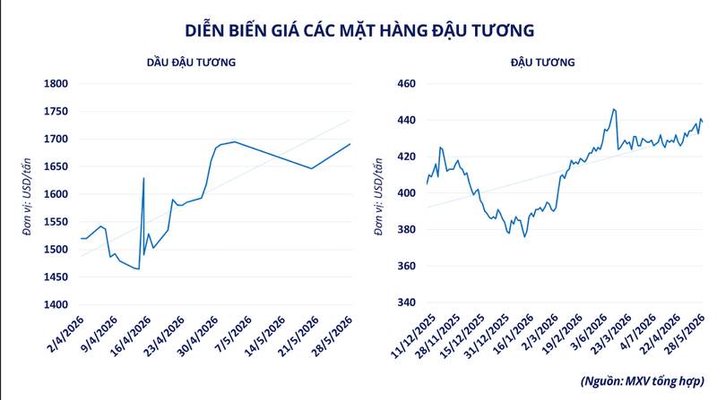 Diễn biến giá các mặt hàng đậu tương. Nguồn: MXV