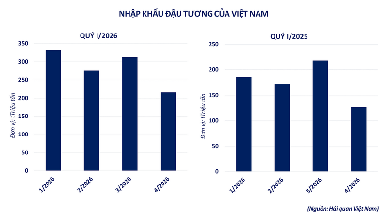 Nhập khẩu đậu tương của Việt Nam. Nguồn: MXV