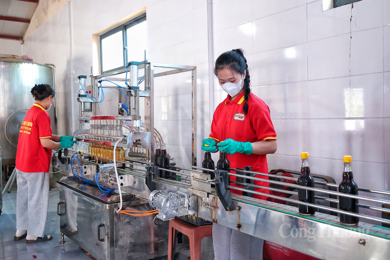 Đưa nước mắm làng biển đến thương hiệu OCOP 5 sao quốc gia - 5