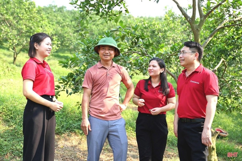 Cán bộ Agribank Chi nhánh Hà Tĩnh thăm mô hình sản xuất cam của gia đình anh Lê Phương 01.jpg