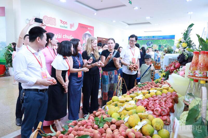 Du khách quốc tế thưởng thức vải thiều Bắc Ninh. Ảnh: Trần Khoa