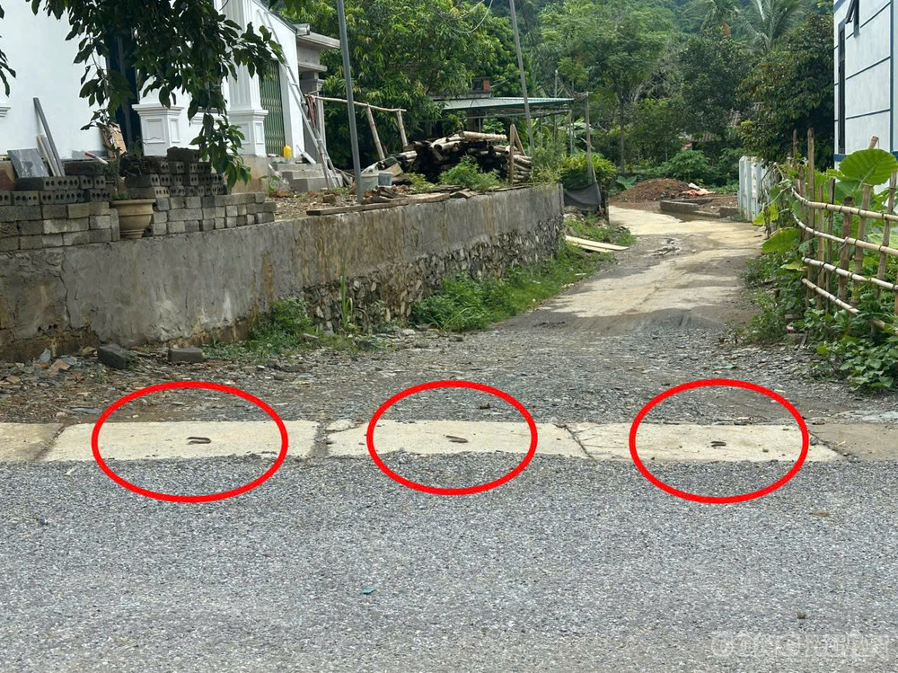 Tấm đan qua đường ngang không được thiết kế khe thoát nước, trên tấm đan chỉ có 1 thanh thép N5-D12 thay vì 2 thanh như trong thiết kế. clo_br_anh-2.jpg