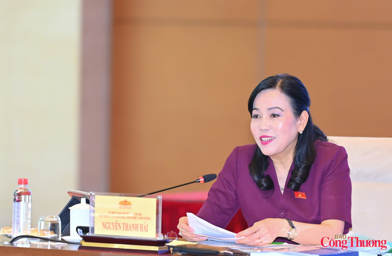 Đồng chí Nguyễn Thanh Hải cho rằng, cần thiết xây dựng cơ chế hình thành các doanh nghiệp quốc gia dẫn dắt trong lĩnh vực vật liệu và cơ khí.