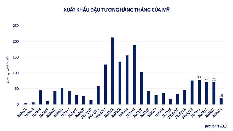 Xuất khẩu đậu tương hàng tháng của Mỹ. Nguồn: MXV