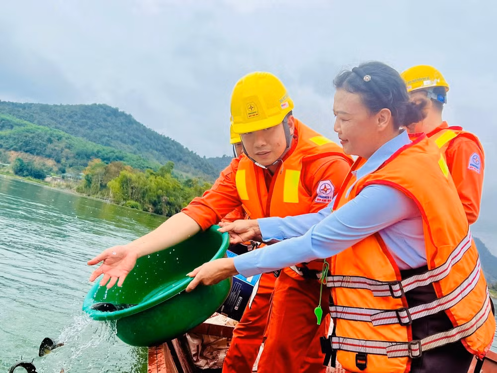 Hoạt động thả cá, tái tạo nguồn lợi thủy sản lòng hồ Khe Bố. tha-ca-bao-ve-nguon-loi-thuy-san-long-ho-khe-bo.jpg