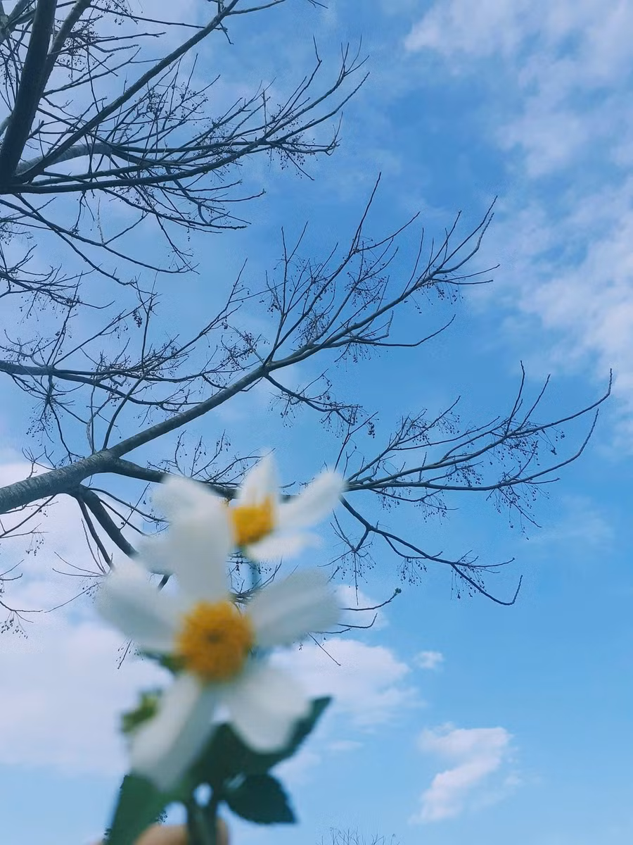 Hãy nhìn đời bằng đôi mắt xanh non vì cuộc đời luôn đẹp ngay trong những khoảnh khắc bình dị nhất. Ảnh: Hoa Đặng. cam-thu-van-hoc-giu-long-nhiet-thanh-1.jpg
