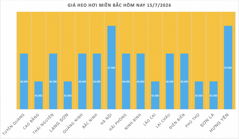 Giá heo hơi hôm nay 15/7/2026: Tăng tại miền Nam - 1