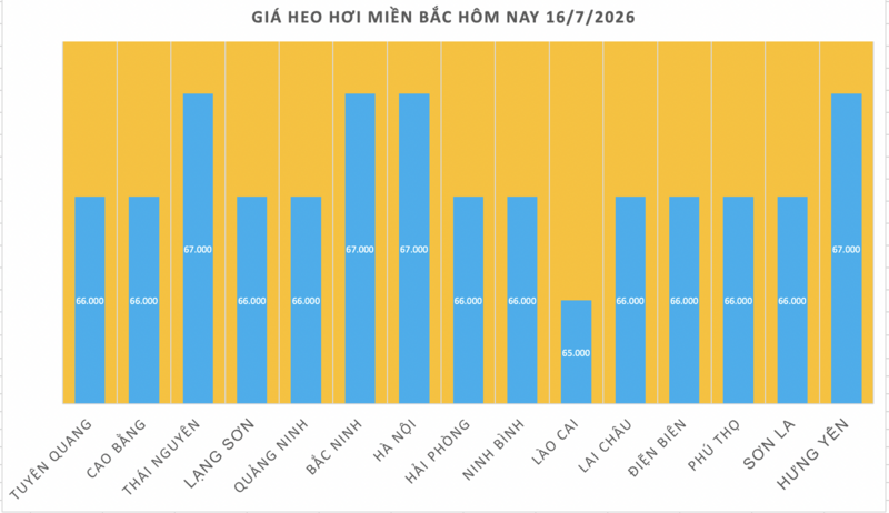 Giá heo hơi hôm nay 16/7/2026: Tăng mạnh tại miền Bắc, miền Trung - 1
