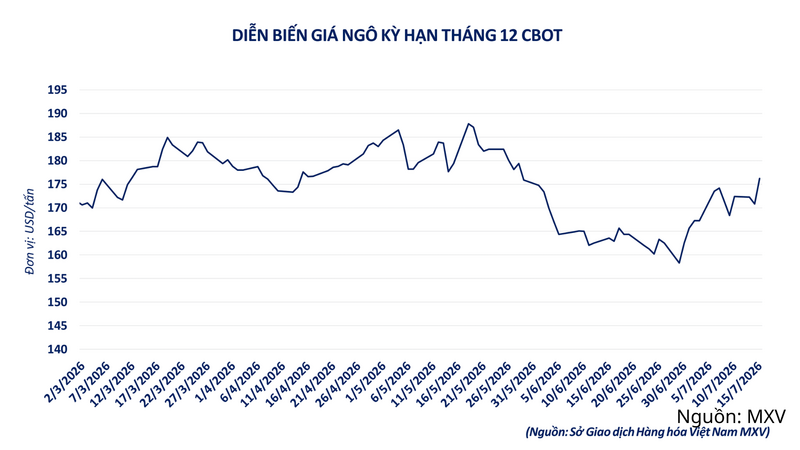 Diễn biến giá ngô kỳ hạn