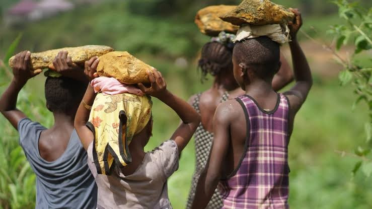 Việt Nam cấm nhập khẩu hàng hóa liên quan đến cưỡng bức lao động. Ảnh minh họa - UNICEF images.jpg