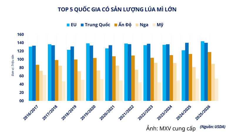 Top 5 quốc gia có sản lượng lúa mi lớn