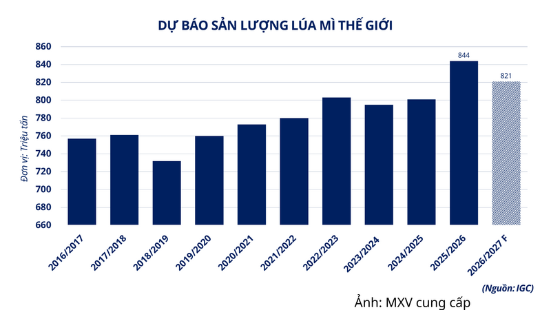 Dự báo sản lượng lúa mì thế giới