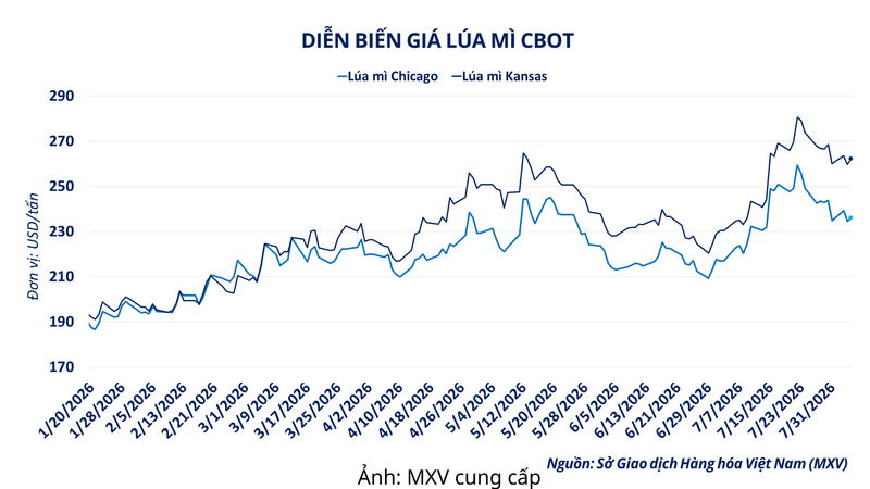 Diễn biến giá lúa mì CBOT