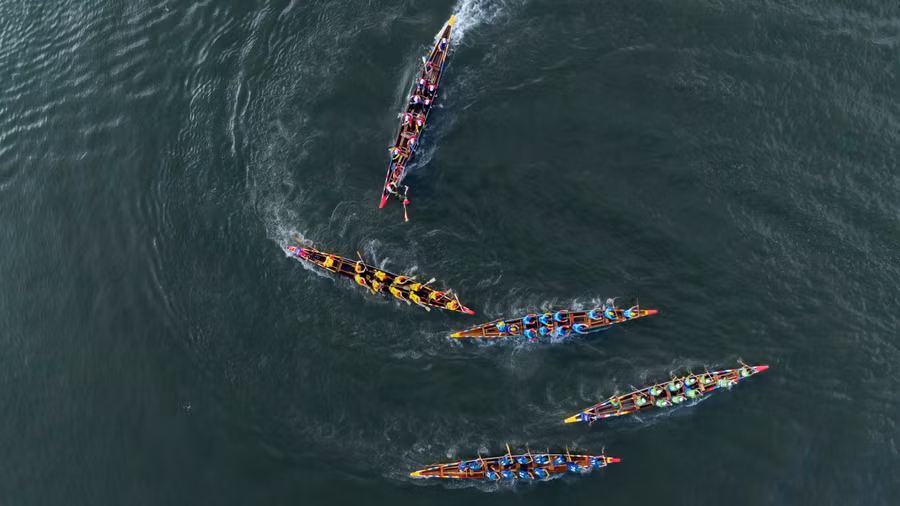 1788320815495-6439880527419115493-g6032860714818333443-f447ad71fc04867f22c371ba9cfa1288.jpg