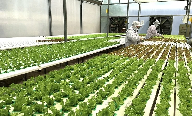 Nguồn lực tài chính cho chuyển đổi xanh vùng Đồng bằng sông Cửu Long