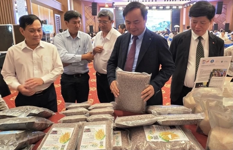 Nguồn lực tài chính cho chuyển đổi xanh vùng Đồng bằng sông Cửu Long