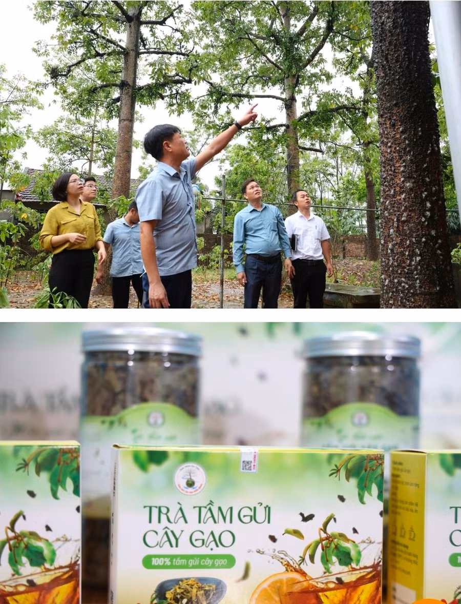 Đưa người dân đi học hỏi các mô hình kinh tế của tỉnh bạn. 1000054500.jpg