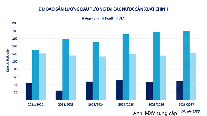 Dự báo sản lượng đậu tương tại các nước sản xuất chính.