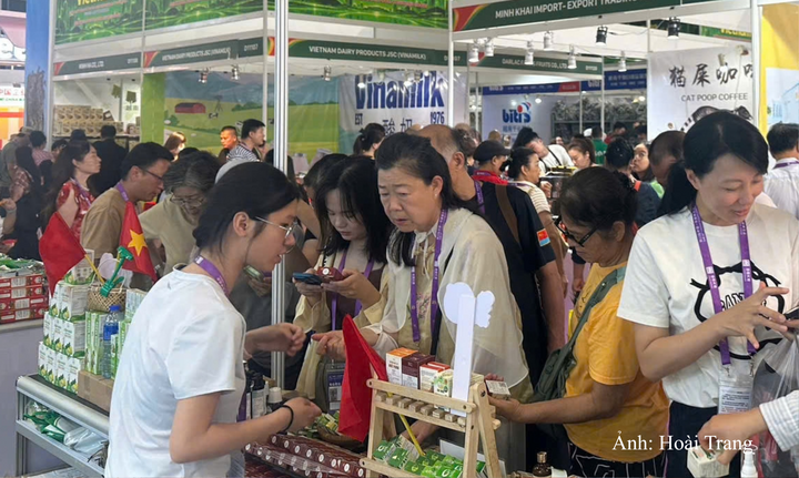 Đông đảo các nhà mua nhà, người tiêu dùng Trung Quốc tham quan, tìm hiểu các sản phẩm Đà Nẵng tại Hội chợ Thương mại ASEAN - Trung Quốc 2026
