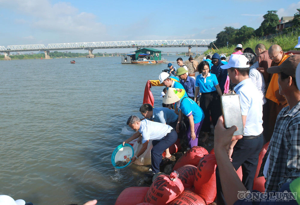 clo_br_6r4a6946.jpg