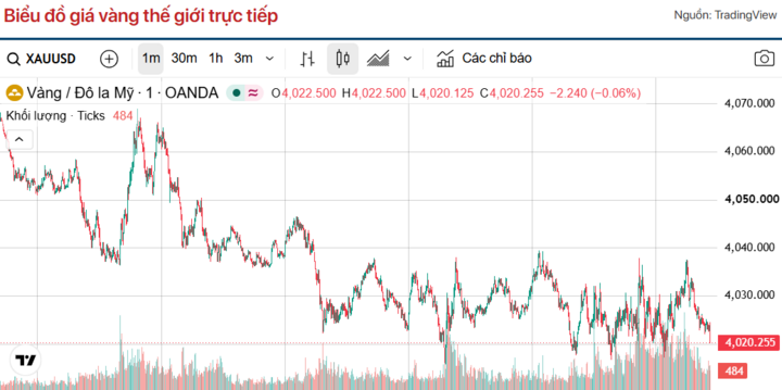 Diễn biến giá vàng thế giới trong 24h qua.
