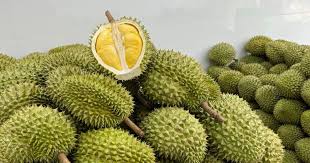 Giá sầu riêng hôm nay 8/10: Thị trường ổn định